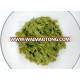 italian gluten free shirataki spinach pasta